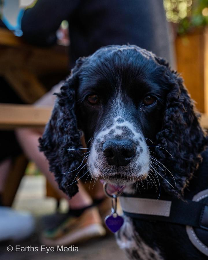 The Bear Inn Llandovery Ngoại thất bức ảnh